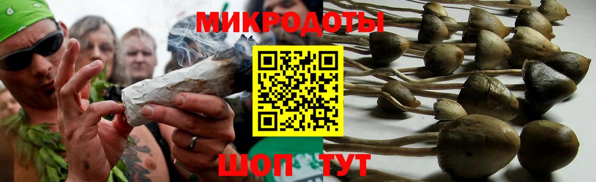 Псилоцибиновые грибы прущие грибы  Галлюциногенные грибы прущие грибы  Владимир  Вход с VPN 